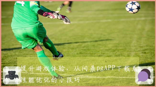 提升游戏体验，从问鼎pgAPP下载看性能优化的小技巧