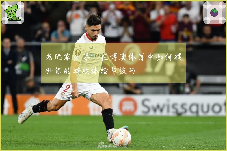 老玩家分享：在博澳体育中如何提升你的游戏体验与技巧