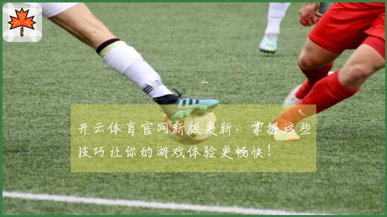 开云体育官网新版更新，掌握这些技巧让你的游戏体验更畅快！