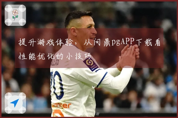 提升游戏体验，从问鼎pgAPP下载看性能优化的小技巧