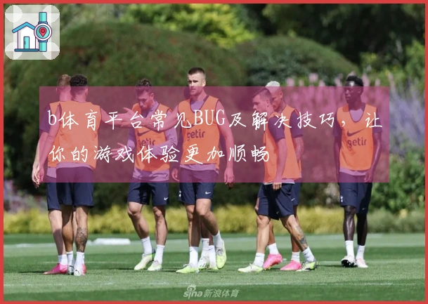 b体育平台常见BUG及解决技巧，让你的游戏体验更加顺畅